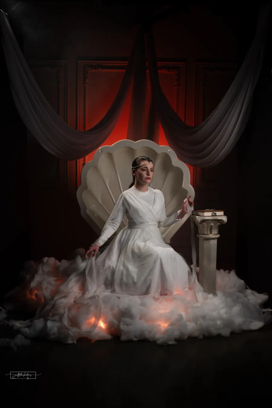 Venus shell editorial concept